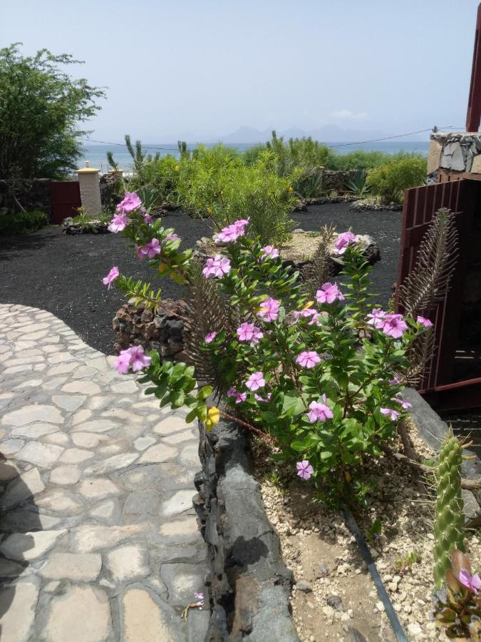 Coin De Paradis,Pavillon Doucimar Porto Novo  Bagian luar foto